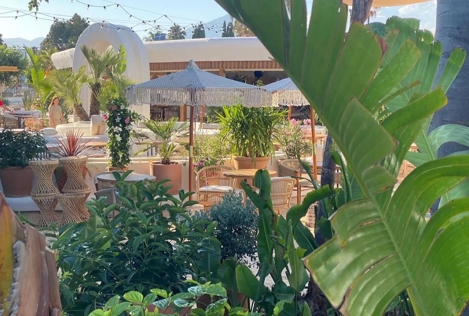 New - Mija Basement Loft Apartment Steps From Beach - Perfect For Sun And Sport Seekers Marbella 0*,