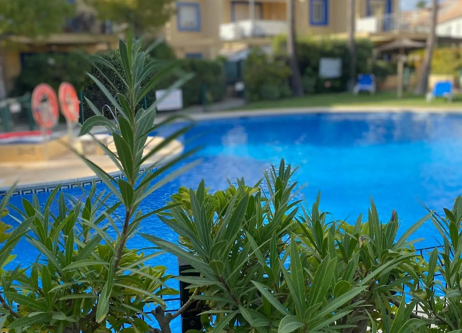 New - Mija Basement Loft Apartment Steps From Beach - Perfect For Sun And Sport Seekers Marbella